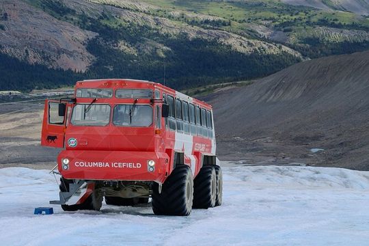 Columbia Icefield Bow Lake Peyto Lake Day Tour
