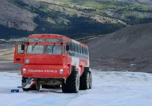 Columbia Icefield Bow Lake Peyto Lake Day Tour