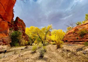 YOU DRIVE!! 4 Hr East Zion Guided UTV Tour