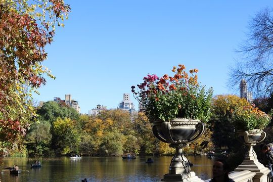 Central Park Scenic Walk with Local Guides