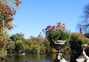 Central Park Scenic Walk with Local Guides