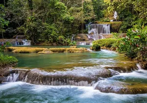 Mayfield Falls Tour Westmoreland Negril from Montego Bay