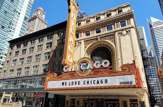 Luxury Minibus Chicago City Tour with Architecture Cruise Upgrade