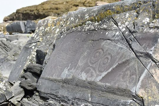 Wrangell E-Bike and Hike Adventure