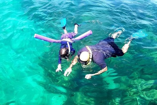 Miami Snorkeling Adventure off a Secluded Island
