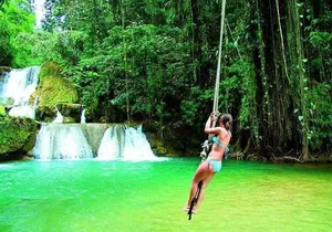 South Coast Tour to YS Falls, Black River Safari and Appleton Rum