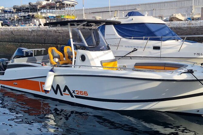Private Boat Tour in Tenerife South