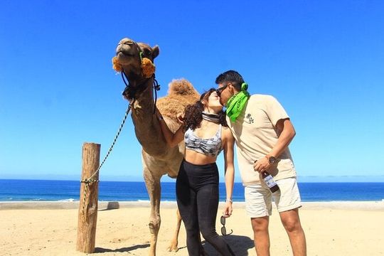 Cabo San Lucas Combo 2 in 1 Skybikes, ATV, RZR, Horses or Camel