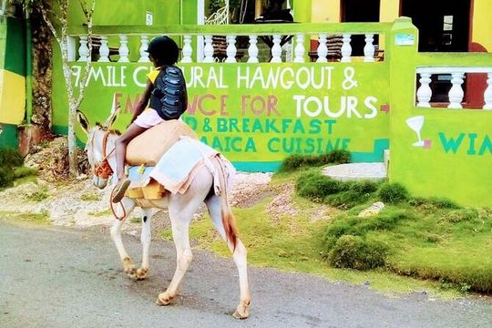 Nine Mile Ocho Rios Natural Attraction Tour