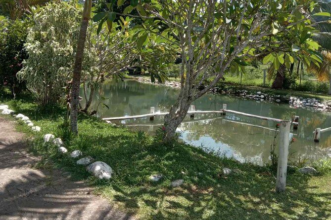 Private Nadi Tour