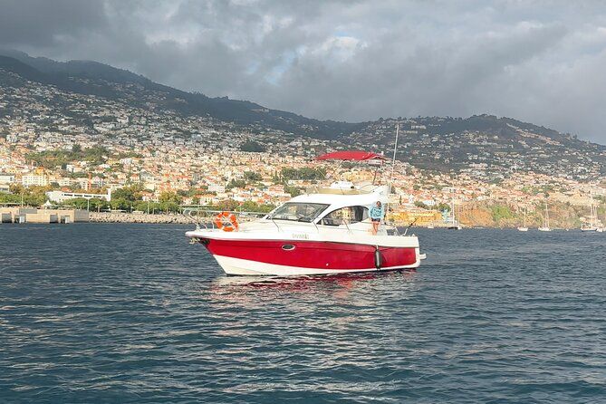 Boat Trips in Madeira Rent a Yacht for Your Adventure