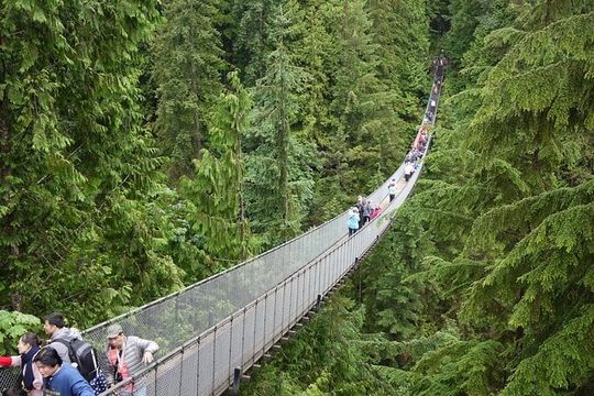 Discover the Wild Beauty of North Vancouver
