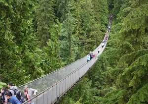 Discover the Wild Beauty of North Vancouver