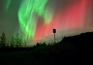 Fairbanks Alaska Luxury Car Private Tour