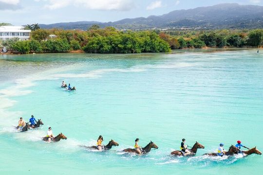 Horseback Ride/Swim and Blue Hole Falls Daytrip