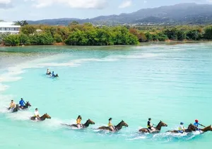 Horseback Ride/Swim and Blue Hole Falls Daytrip with Transfers