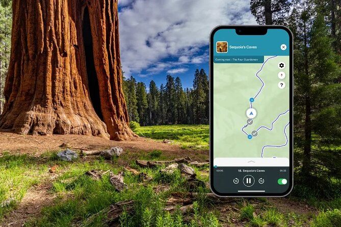 Sequoia and Kings Canyon Audio Tour Self Guide National Park Tour