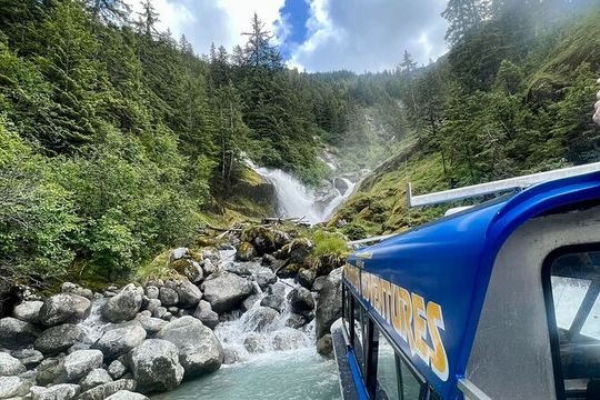 Wrangell Alaska Marine Sightseeing Tour