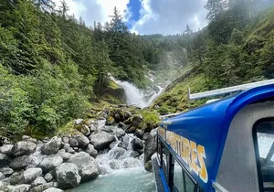 Wrangell Alaska Marine Sightseeing Tour