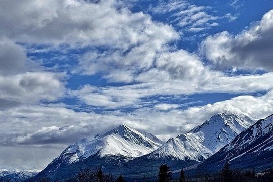Private 4 Hour tour to White Pass and the Yukon Suspension Bridge