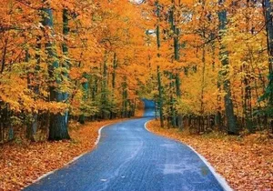 Connecticut Maple Foliage 1 Day Tour From New York