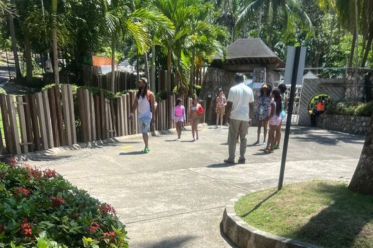 Dunn River Falls from Montego Bay Private Tour