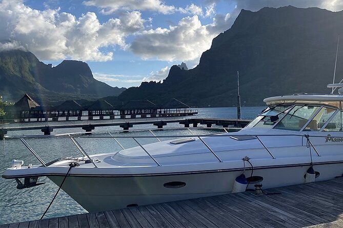 Exceptional whale watching in a Tahiti Yacht