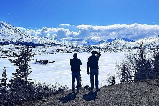 5 Hour Tour to the Yukon Border with Suspension Bridge