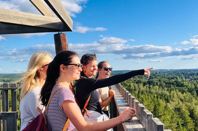 Oslo: Relaxing Panoramic Hike With Local Guide and Dog