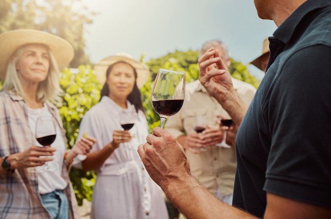 Cappadocia Fairy Chimneys Guided Tour with Local Wine Tasting