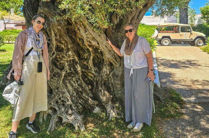 The Liquid Gold Route Jeep & Olive Grove 2,000 - Year History