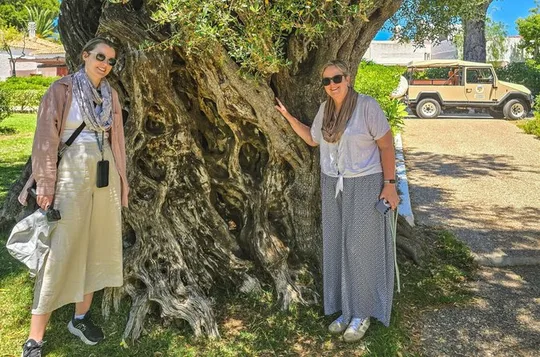 The Liquid Gold Route Jeep & Olive Grove 2,000 - Year History