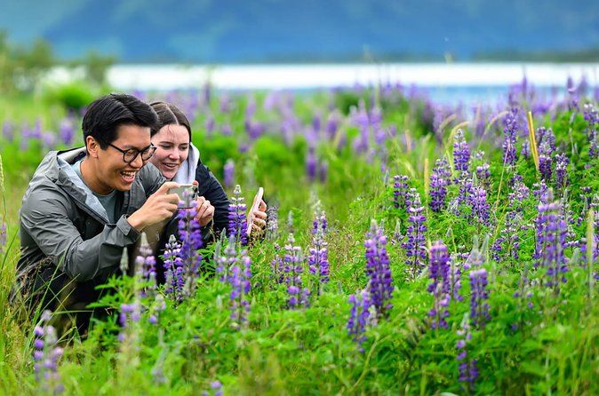 Turnagain Arm Highlights Photo Tour