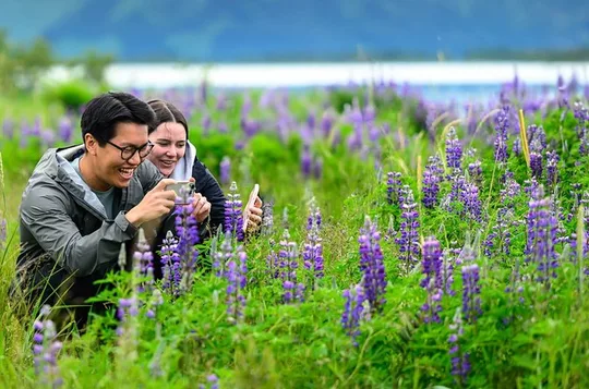 Turnagain Arm Highlights Photo Tour