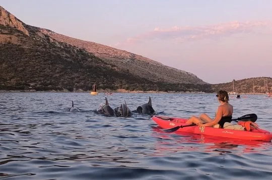Golfo Aranci Kayak tour with aperitif and dolphin watching
