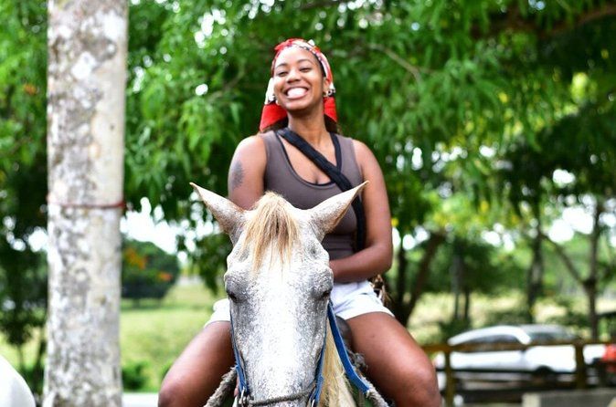 City Tour & Half-Day Safari Experiences