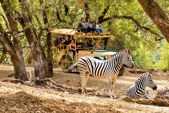 Safari West Sonoma Adventure Tour