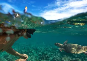 Spanish-Guided Circle Island Adventure