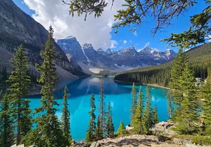 Lake Louise and Moraine Lake Full Day Tour
