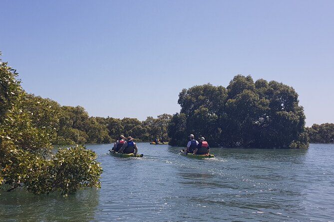 Guided Kayak Adventure Tour 3hrs options please check the website