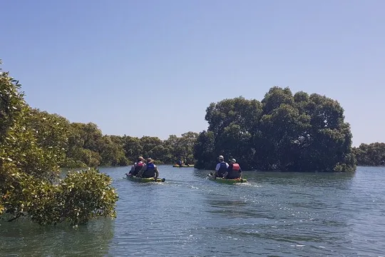 Guided Kayak Adventure Tour 3hrs options please check the website