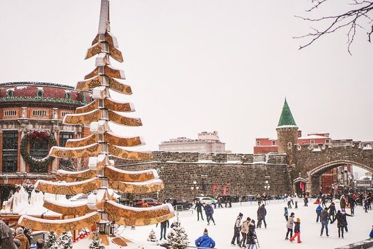 German Christmas Market Tasting Tour