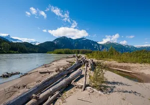 Stikine River Wilderness Tour