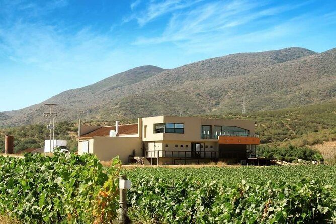 Private Valle de Guadalupe Wine Tour with a Local Wine Expert