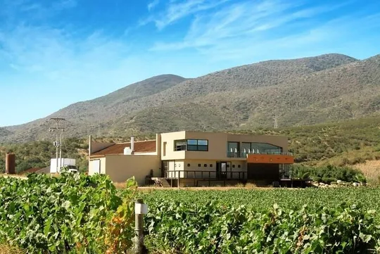 Private Valle de Guadalupe Wine Tour with a Local Wine Expert