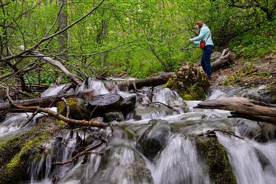 Turnagain Arm Highlights Photo Tour