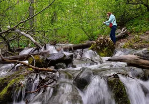 Turnagain Arm Highlights Photo Tour