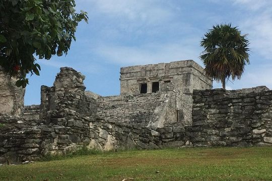 Private Tour Tulum & Cenotes