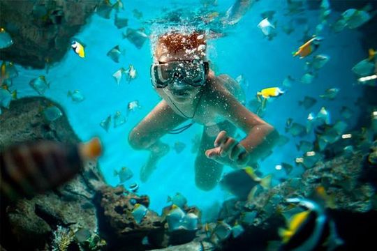 Combo Shared Experience Tour Package in Cancun - Swim & Fly