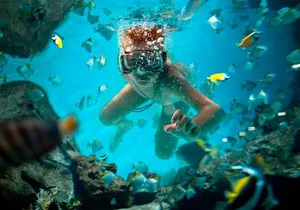 Combo Shared Experience Tour Package in Cancun - Swim & Fly